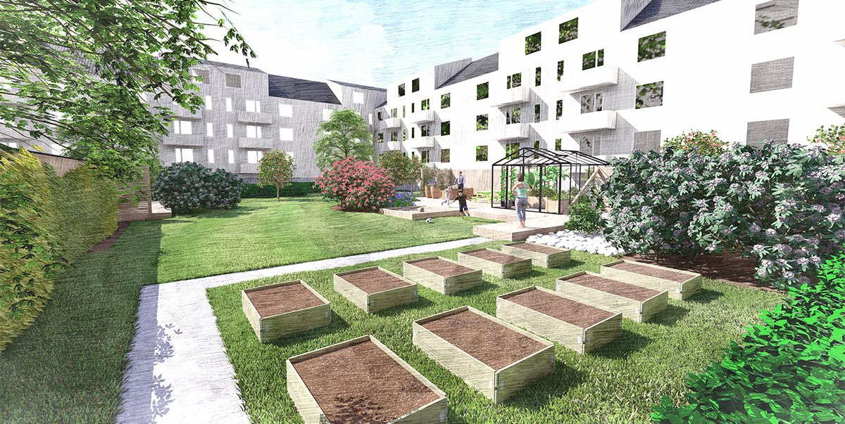 Eksempel bilde som viser bakgården til et Borettslag.